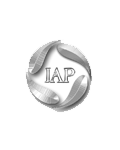 IAP(Intergated Auto Parts)